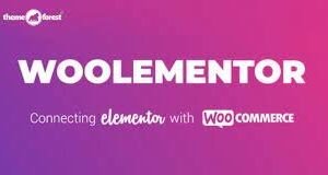 CoDesigner Pro (formerly Woolementor)