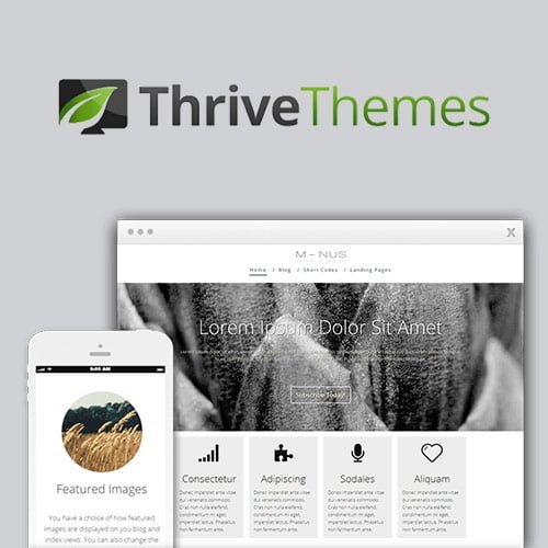 Thrive-Themes-Minus-WordPress-Theme.jpg
