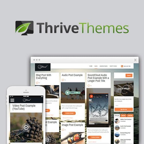 Thrive-Themes-Storied-WordPress-Theme.jpg