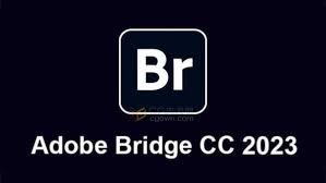 Adobe Bridge 2024